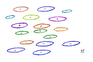 Bacterial genomes of different sizes and colors.