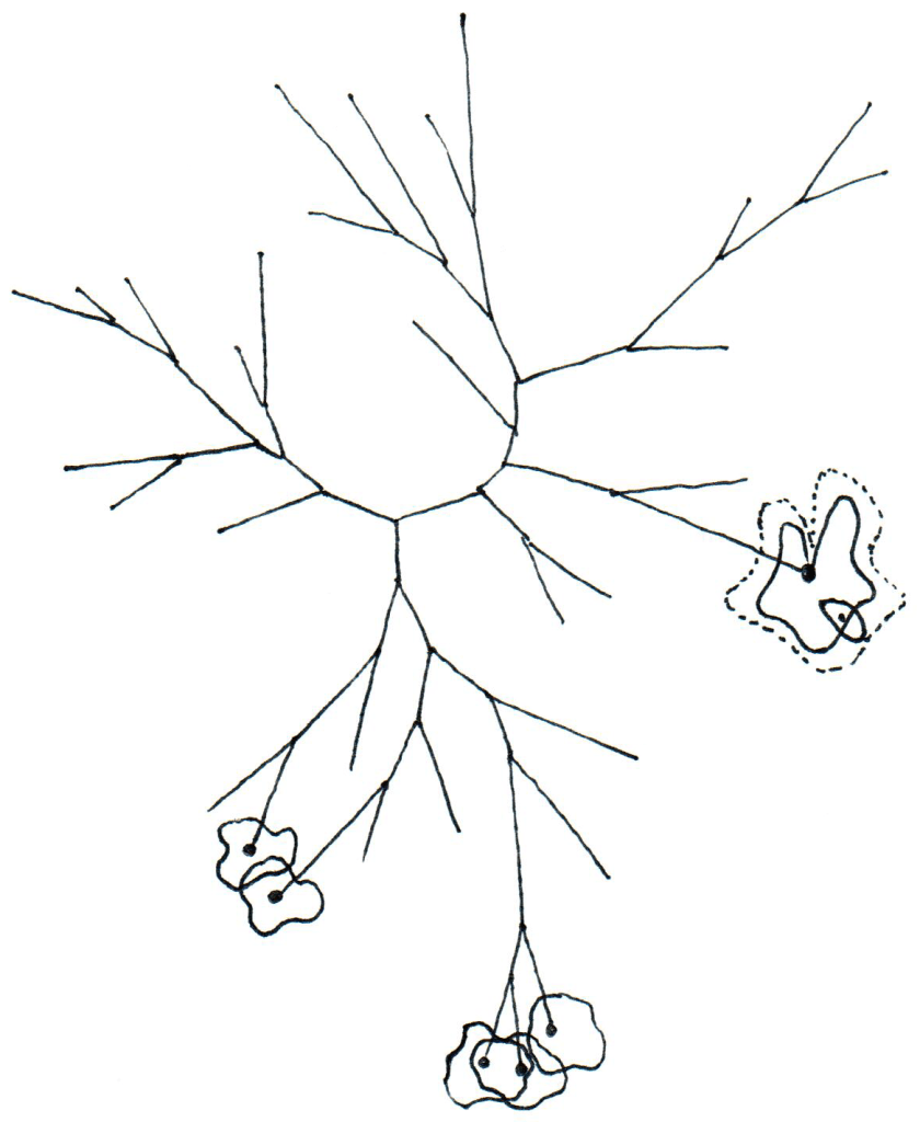 Phylogenetic tree with several leaves highlighted.